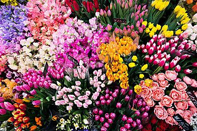 《赛博朋克2077》2.3版本更新延期 原计划6月26日上线